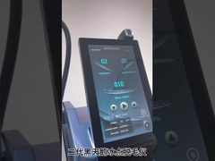 البجع الأسود