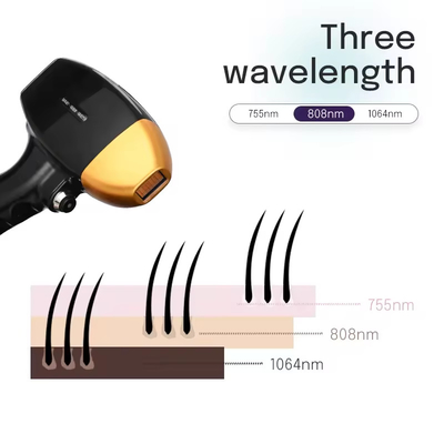 جهاز إزالة الشعر المخصص إزالة الشعر غير المؤلمة دائمة 808nm نظام إزالة الشعر بالليزر